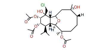 Klymollin K